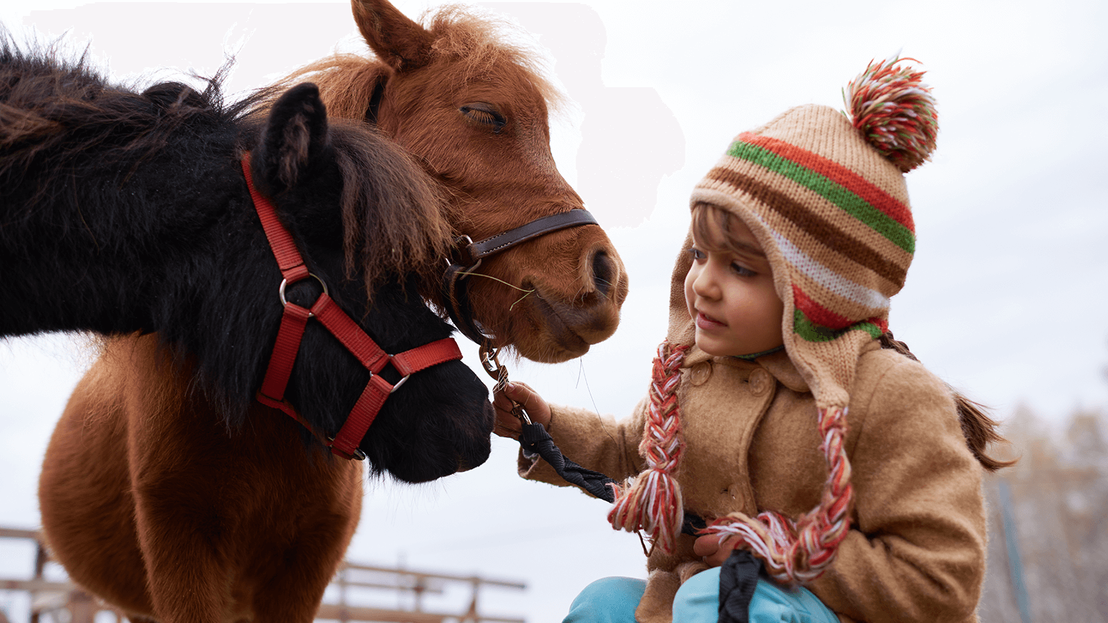 Heilung kennt viele Wege - wenn Delfine, Ayurveda und High-Tech neue Hoffnung bringen